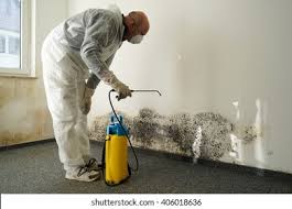 Why You Should Choose Our Mold Remediation Services in Savannah, MO